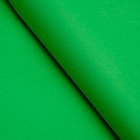 Бумага цветная тишью шёлковая, 510 х 760 мм, Sadipal, 1 лист, 17 г/м2, зелёная оптом