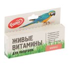 Живые витамины "Ешка Микс" для попугаев, овес, пшеница, ячмень, 20 г оптом