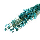 Сухоцвет «Бадьян», синий, 50 г в упаковке оптом
