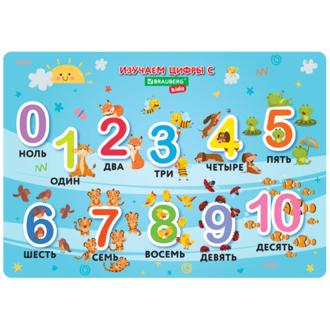   BRAUBERG KIDS     , , "Numbers", 5035 , 272361 