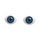 Глаза, набор 24 шт., размер радужки 8 мм, цвет серый оптом