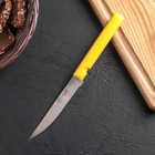 Нож «Эконом», лезвие 11,5 см, цвет МИКС оптом