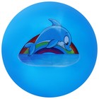Мяч детский «Дельфинчик» 22 см, 60 г, цвет синий оптом