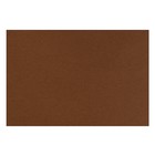 Бумага для пастели 210 х 297 мм, Lana Colours, 1 лист, 160 г/м?, тёмно-коричневый оптом