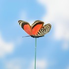 Штекер декоративный "Бабочка" 9см  светящаяся оптом