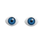 Глаза, набор 22 шт., размер радужки 9 мм, цвет серый оптом