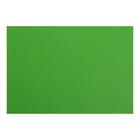 Картон цветной тонированный А4, 200 г/м2, зелёный оптом