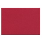 Бумага для пастели 210 х 297 мм, Lana Colours, 1 лист, 160 г/м?, багряный оптом