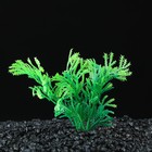 Растение искусственное аквариумное, до 9 см оптом