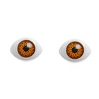 Глаза, набор 22 шт., размер радужки 9 мм, цвет карий оптом