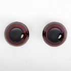 Глаза винтовые с заглушками, набор 4 шт, размер 1 шт: 3 см, цвет коричневый оптом