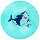 Мяч детский «Акула» 22 см, 60 г, цвет бирюзовый оптом