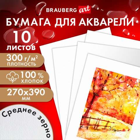     100%, 300 , 270x390 ,  , 10 , BRAUBERG ART PREMIERE, 115336 