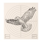 Мишень "Орёл" для стрельбы из пневматического  оружия, 14 х14 см, дистанция 10 метров оптом