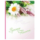 Папка на резинке Spring Flowers А4, 550 мкм оптом