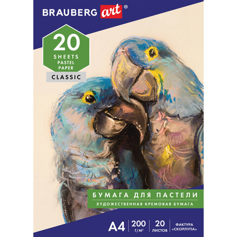    4, 20 .,     200 /2,  , BRAUBERG ART, 126306 