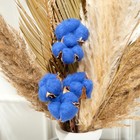 Декор сухоцвет "Хлопок" d-5 см, 30 см, синий оптом