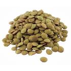 Семена Чечевица зеленая 25 кг оптом