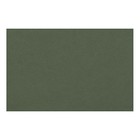 Бумага для пастели 210 х 297 мм, Lana Colours, 1 лист, 160 г/м?, виридоновый зелёный оптом