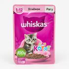 Влажный корм Whiskas для котят, рагу ягненок, 75 г оптом