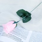 Цветы искусственные "Роза" 23 см, персиковая оптом