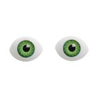 Глаза, набор 12 шт., размер радужки 10 мм, цвет зелёный оптом