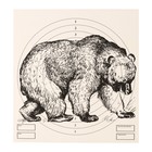 Мишень "Медведь" для стрельбы из пневматического  оружия,14 х14 см,дистанция 10 метров оптом