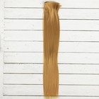 Волосы - тресс для кукол «Прямые» длина волос: 40 см, ширина:50 см, №22Т оптом