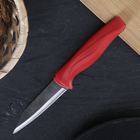 Нож кухонный "Оберон" лезвие 9 см, цвета МИКС оптом