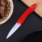 Нож кухонный "Блик" лезвие 8 см, цвет МИКС оптом