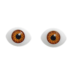 Глаза, набор 12 шт., размер радужки 10 мм, цвет карий оптом